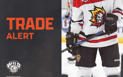 WARRIORS ACQUIRE DEFENSEMAN ELIJAH GILBERTSON FROM GILLETTE
