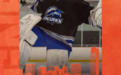 WARRIORS ADD DEPTH IN CREASE WITH NICHOLAS GORMISH