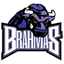 Texas Brahmas