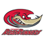 Texas RoadRunners